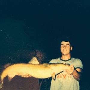 Meet your Posher, Will